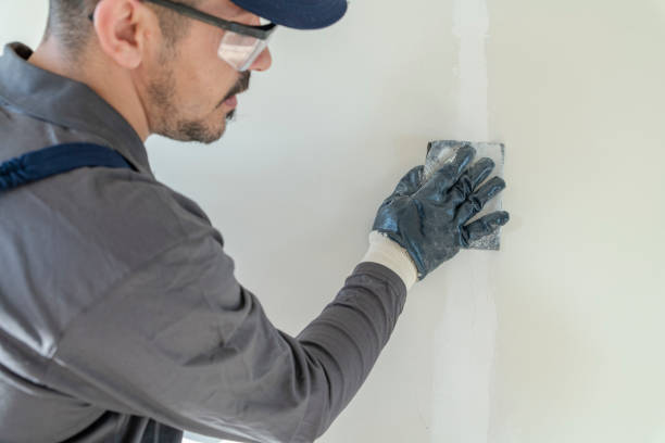 Best Touch-Up Painting  in Ramsey, NJ